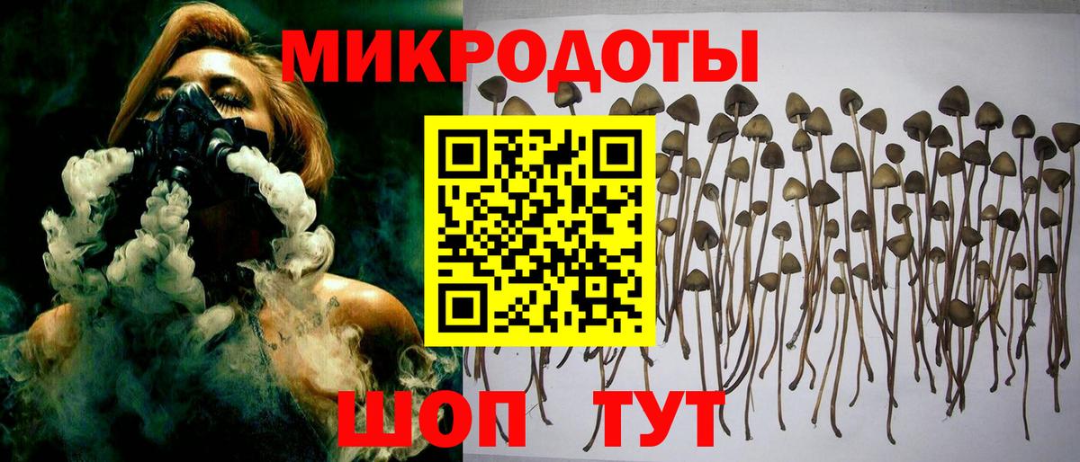 Кунгур  Галлюциногенные грибы прущие грибы  Псилоцибиновые грибы ЛСД  Вход с VPN 